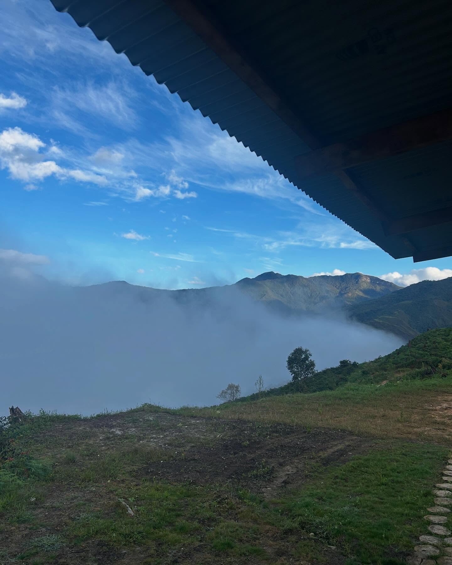 Finca Miraflores Cold Water Fermentation Washed Gesha Lot 8