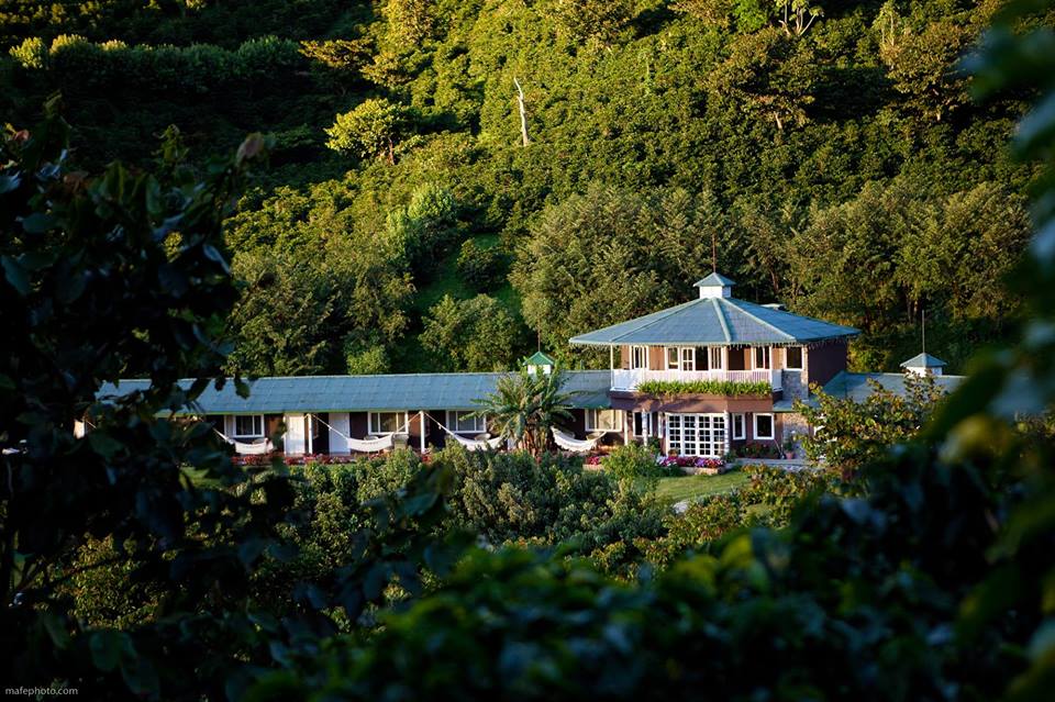 Finca Lerida Gesha Lot Plano Washed
