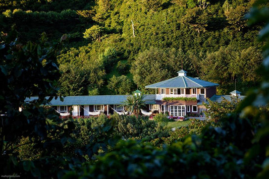 Finca Lerida Esplendorosa Gesha Washed Lot 665
