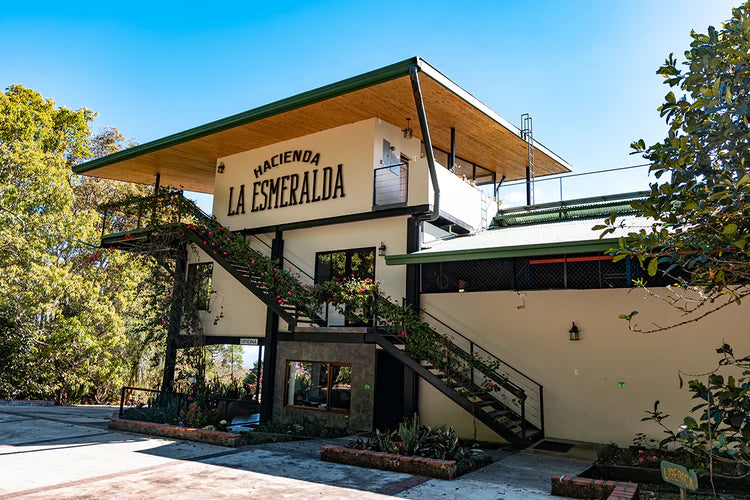 Esmeralda Cabaña Abajo 5FB