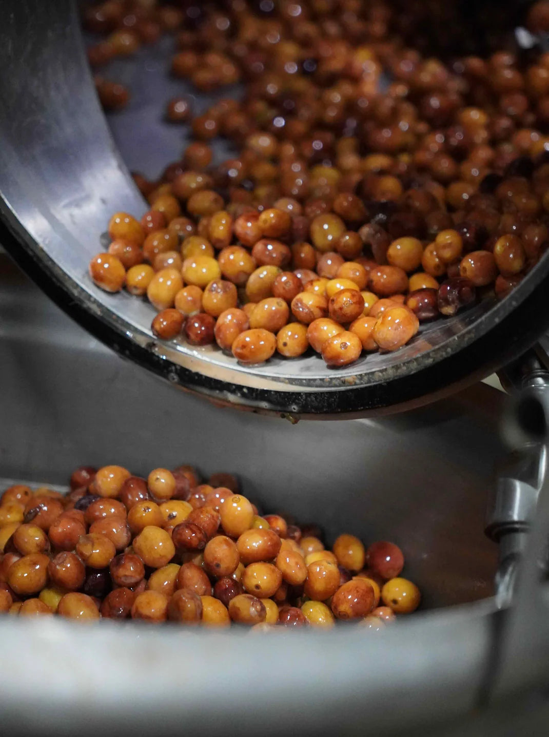 Lost Origin x Don Benjie Gesha Depulped 112_174