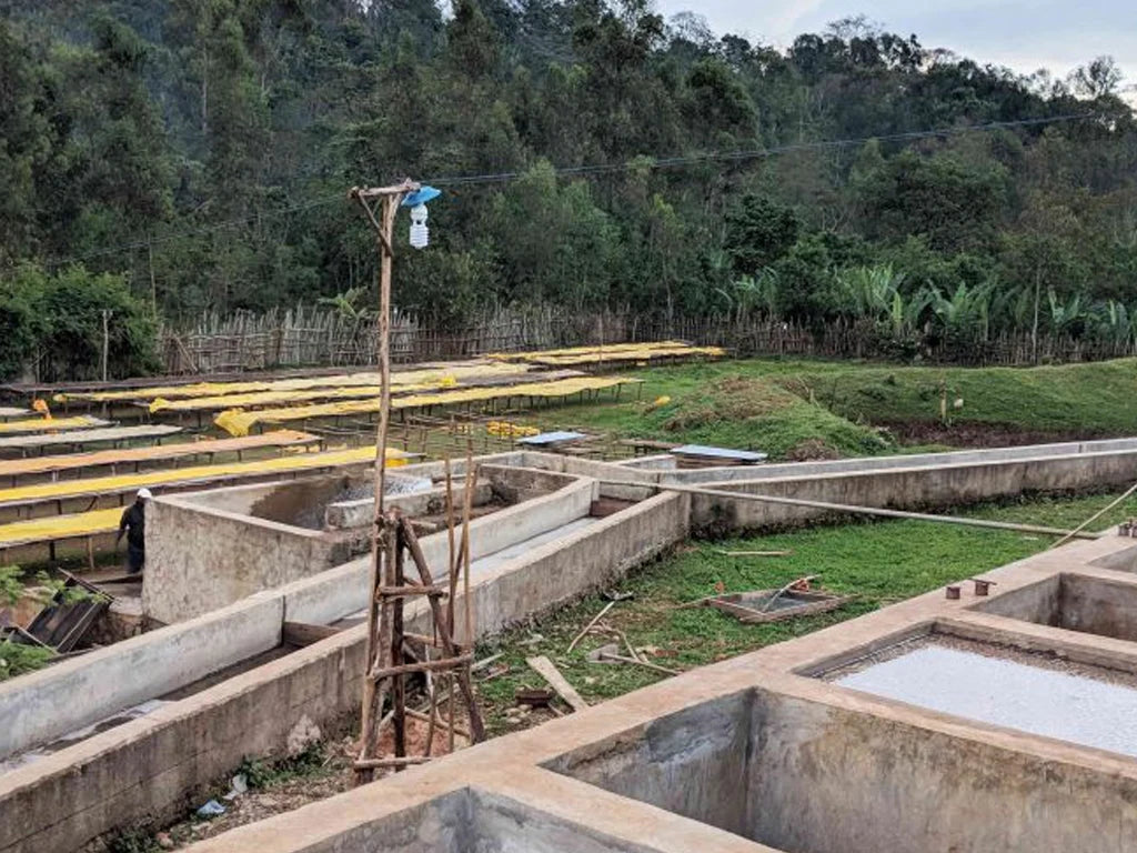 Ethiopia Yirgacheffe Koke Honey