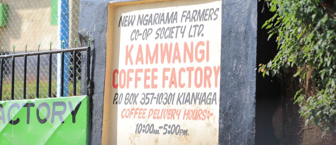 Kenya Kamwangi Peaberry