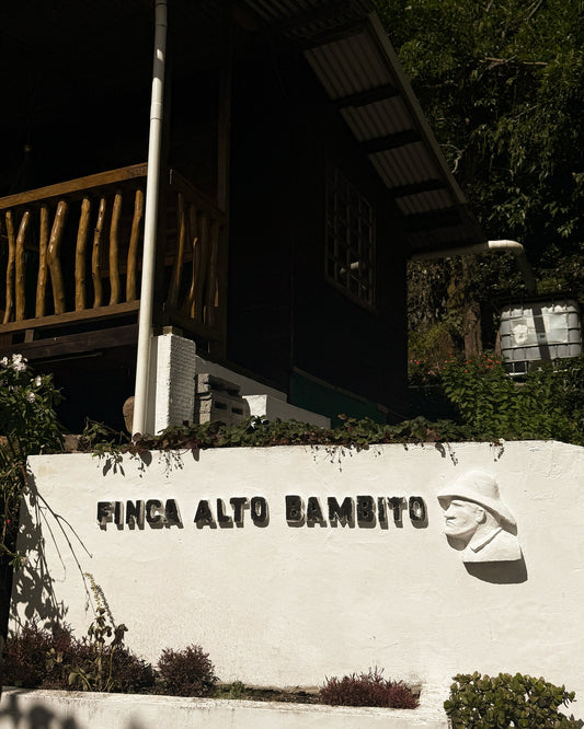 Alto Bambito Gesha Honey