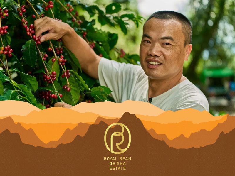 [DMCC Auction] Royal Bean Geisha Estate Gesha Washed