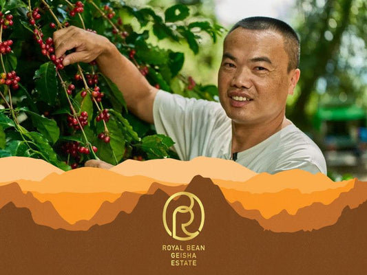 [DMCC Auction] Royal Bean Geisha Estate Gesha Washed