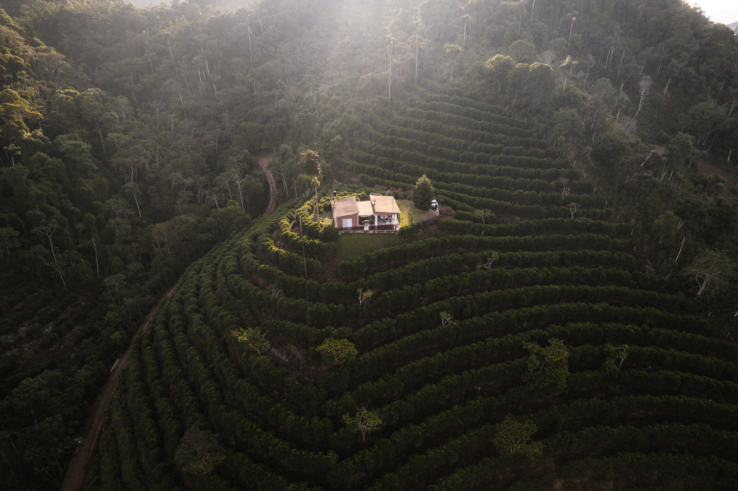 [Drop] Bolivia Los Rodriguez Finca Floripondio Gesha Washed