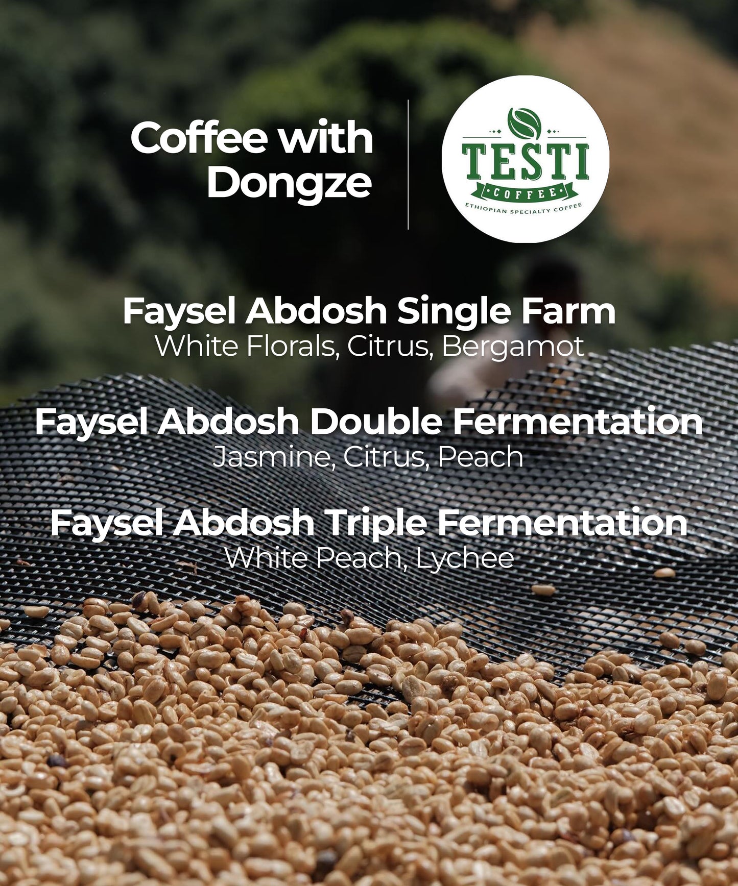 Faysel Abdosh Washed Tasting Set