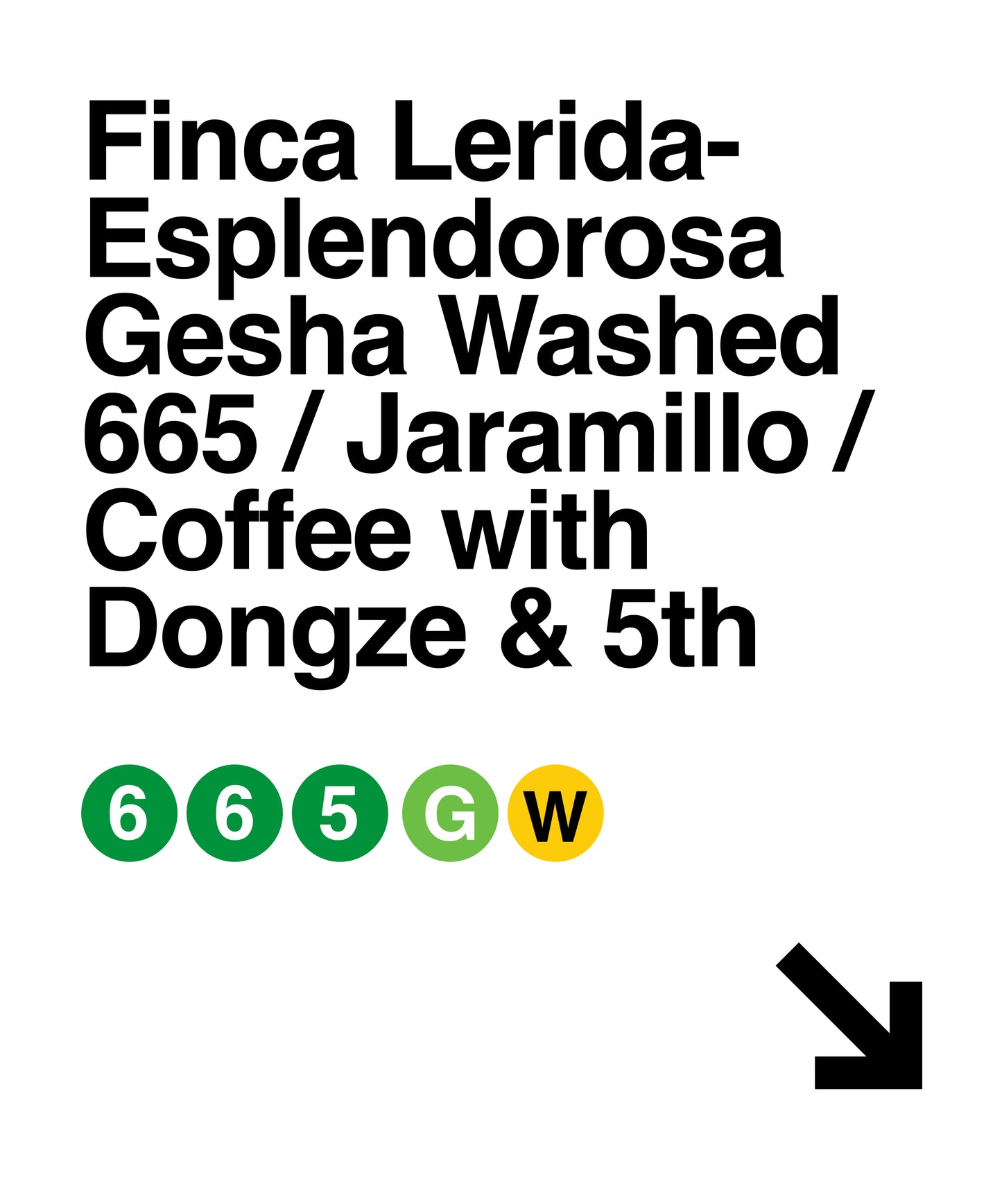 Finca Lerida Esplendorosa Gesha Washed Lot 665
