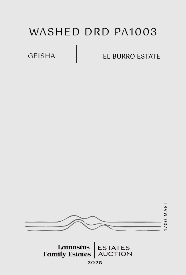 Lamastus Auction: El Burro Natural DRD PA1003