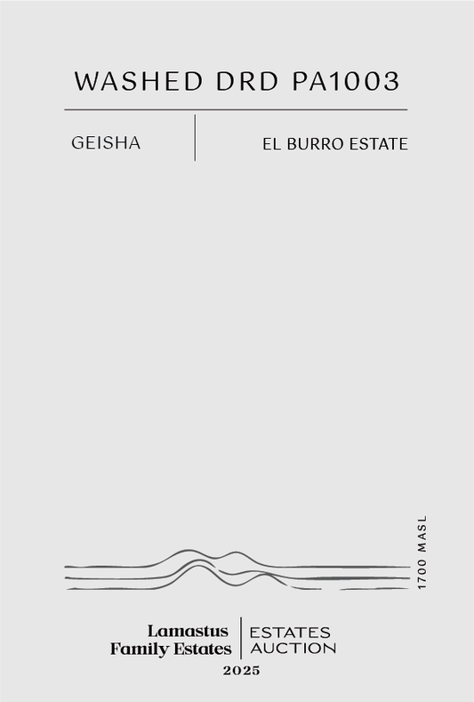 Lamastus Auction: El Burro Natural DRD PA1003