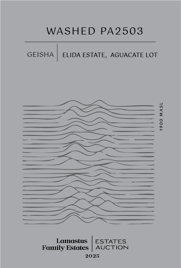 Lamastus Auction: Elida Aguacate Washed PA2503