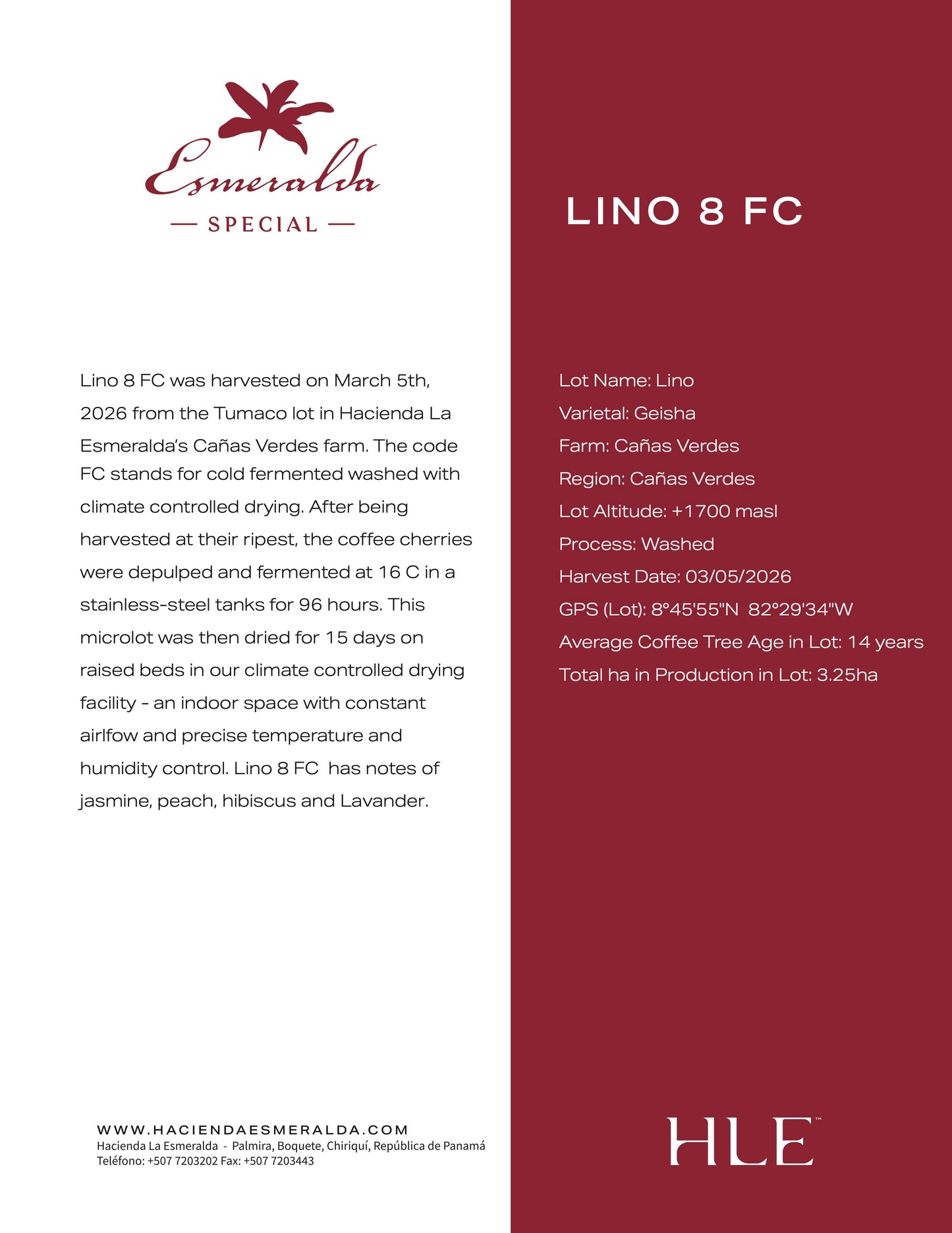 Esmeralda Lino 8FC