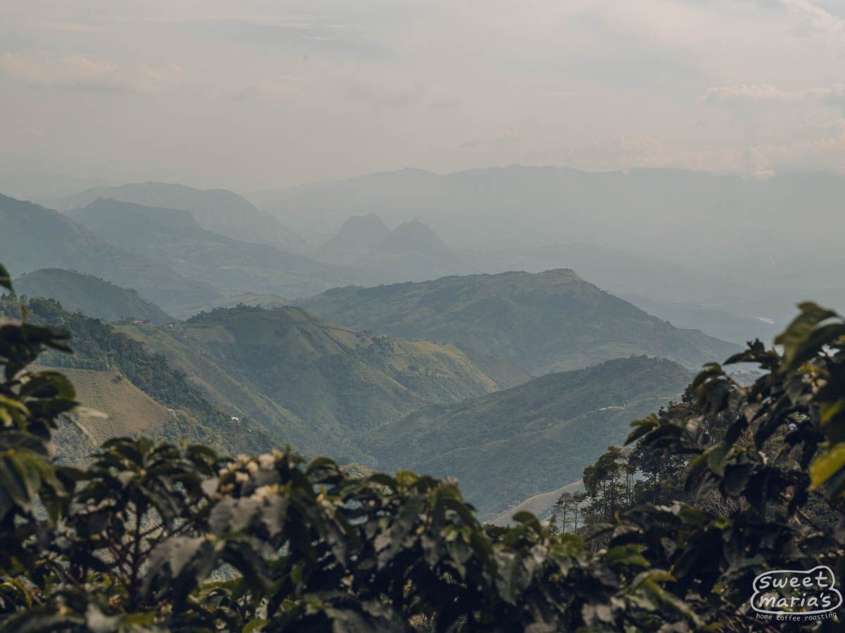 Colombia Finca El Jardin Gesha Washed