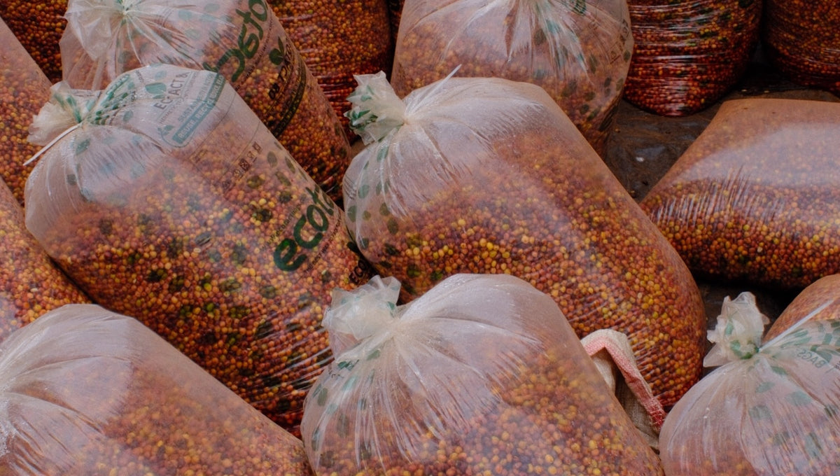 Rwanda Ubuntu Coffee Ngororero Super Washed